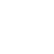 Ford440