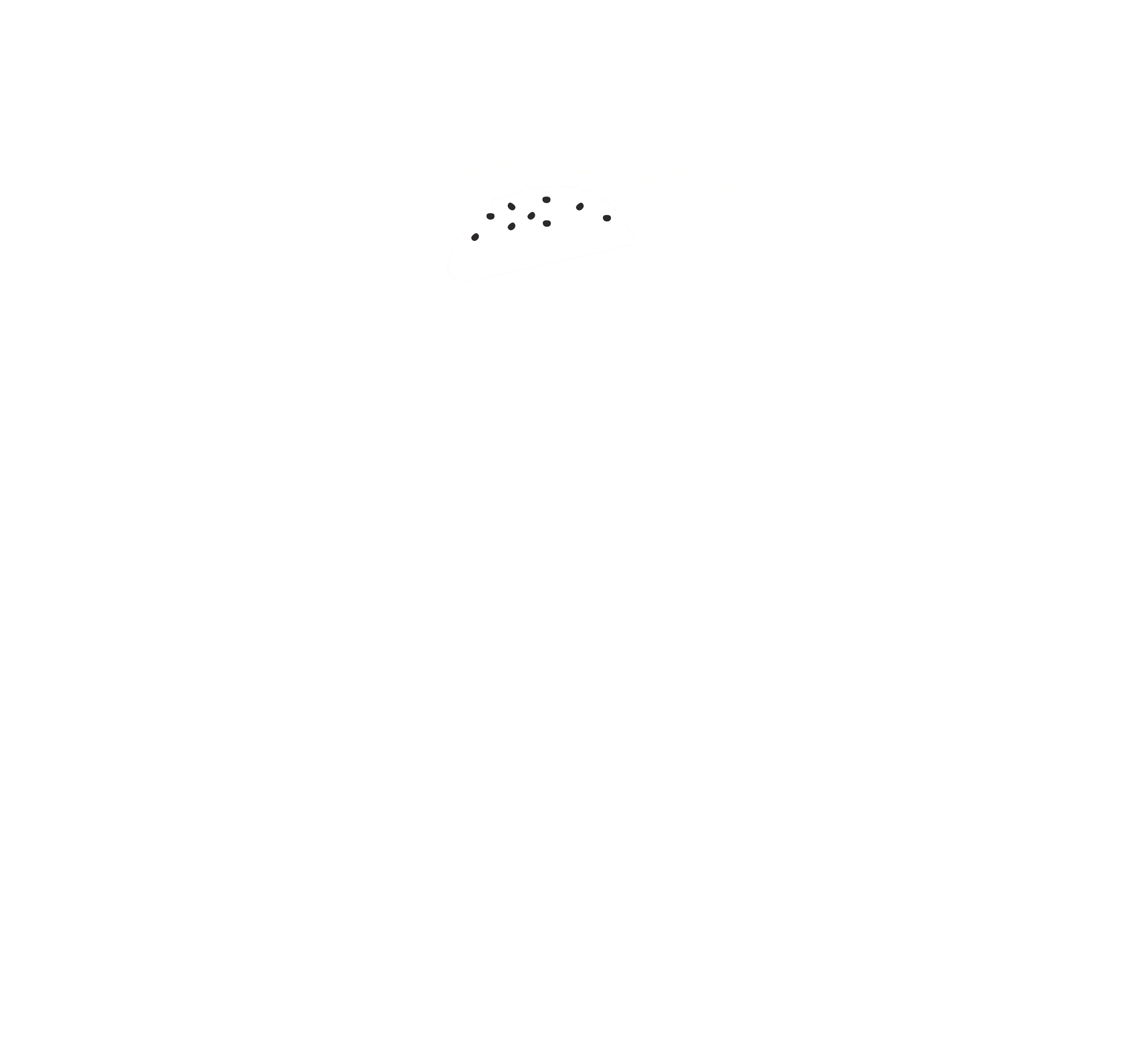 D-Burger