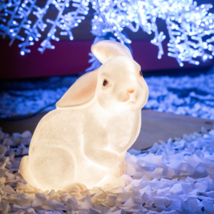 un lapin lumineux à illumi Laval